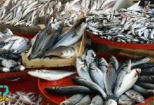 منابع کنکور ارشد مهندسی شیلات