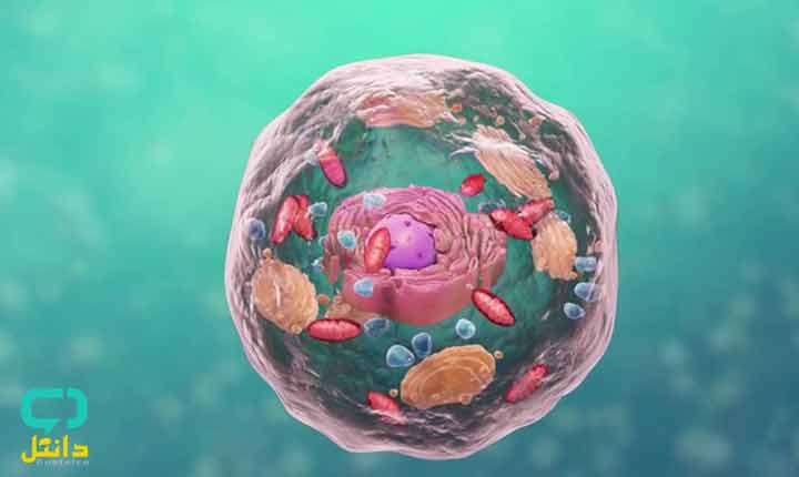 منابع آزمون دکتری زیست شناسی سلولی