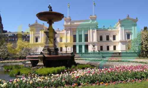 رشته های تحصیلی در سوئد