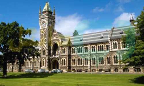 تحصیل در نیوزلند