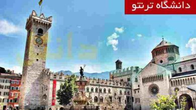 دانشگاه ترنتو