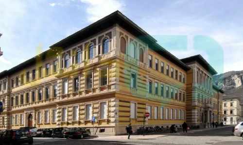 دانشگاه ترنتو