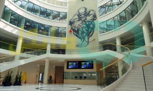 دانشگاه تورین