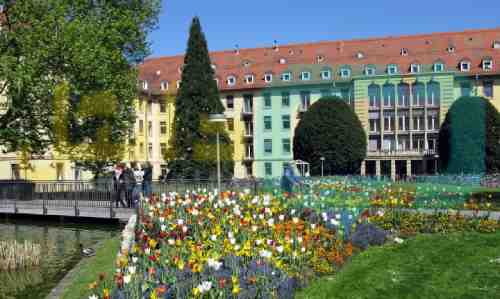 دانشگاه فرایبورگ