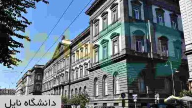 دانشگاه ناپل