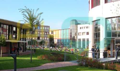 دانشگاه ورونا