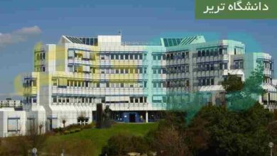 دانشگاه تریر